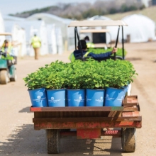 Economic contributions by region